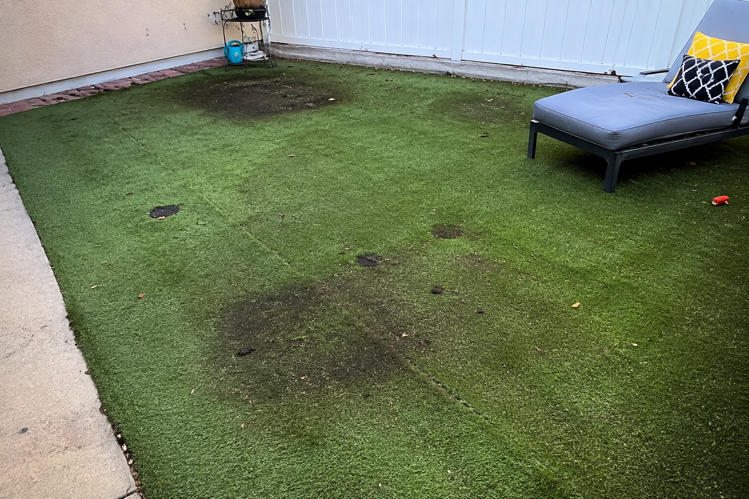 Artificial turf before pet odor removal service in Los Gatos