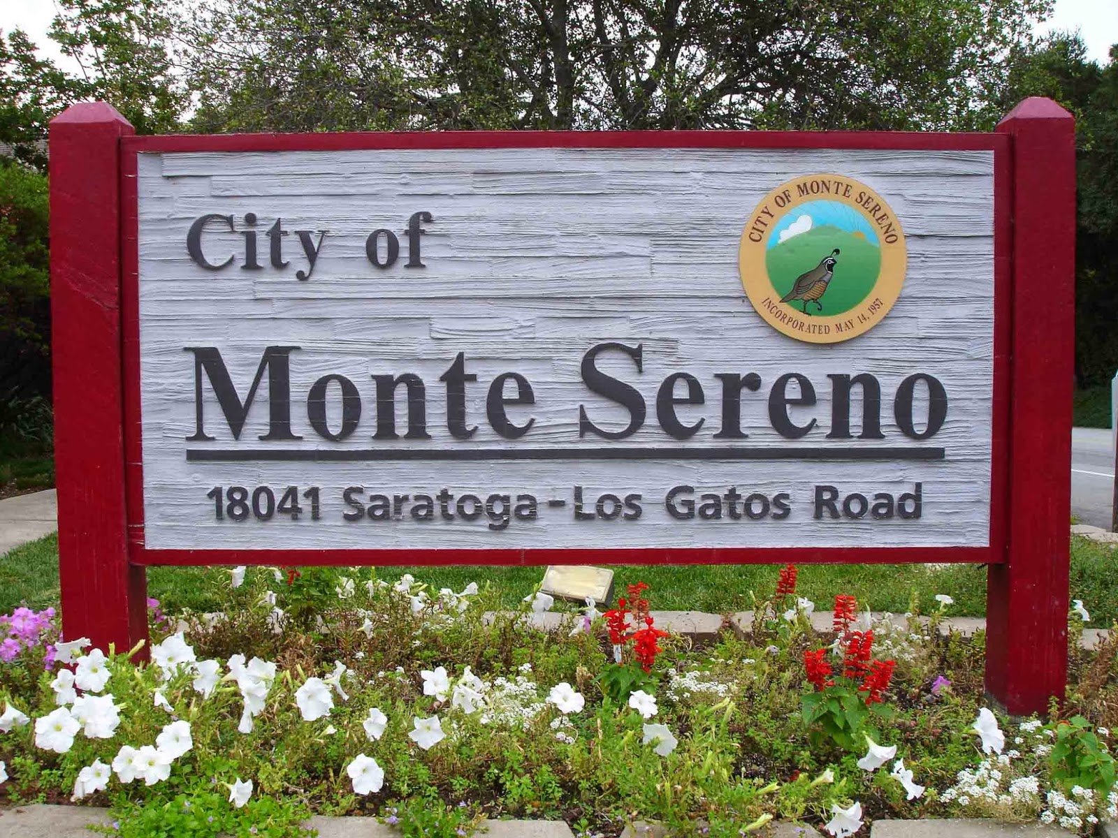 Artificial turf cleaning Monte Sereno residential property